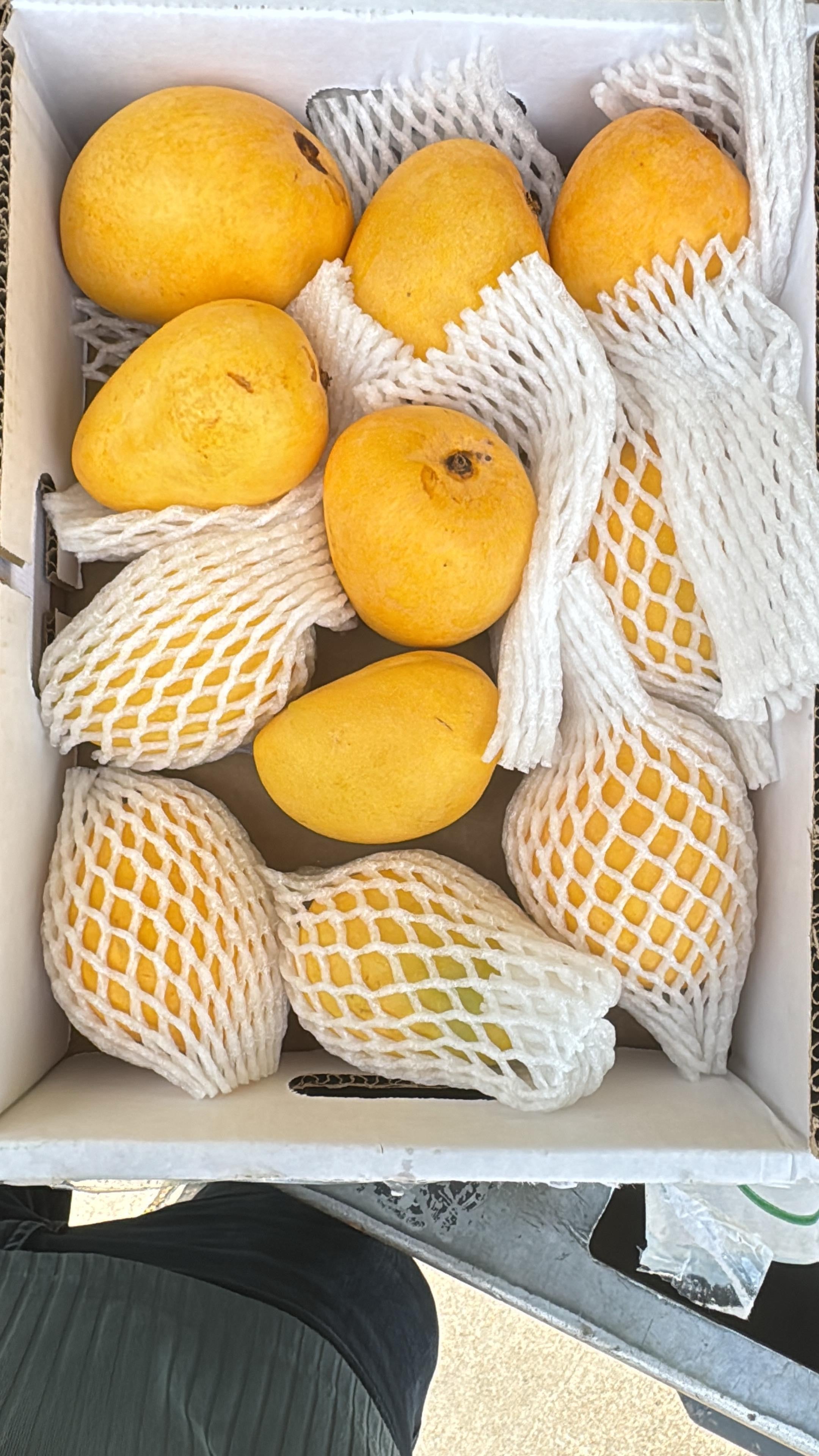 Premium Alphonso Mangoes